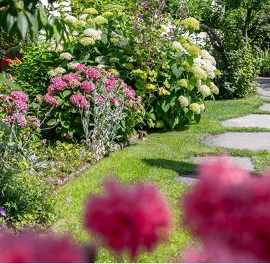 Giardino delle rose