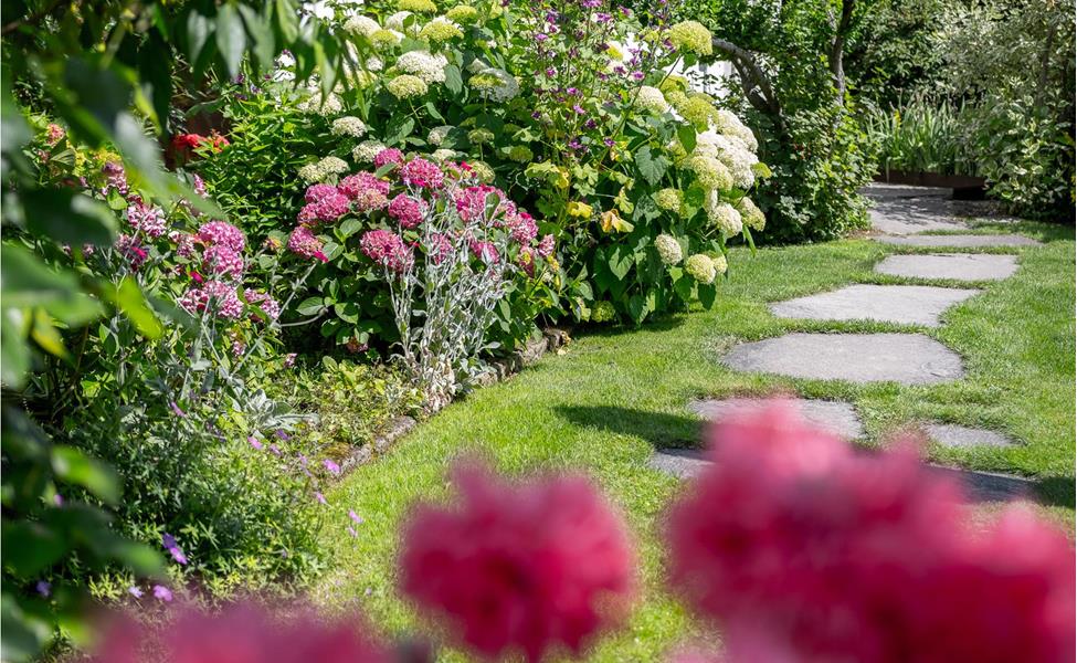 Giardino delle rose