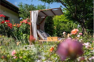 A sunlounger in the rose garden