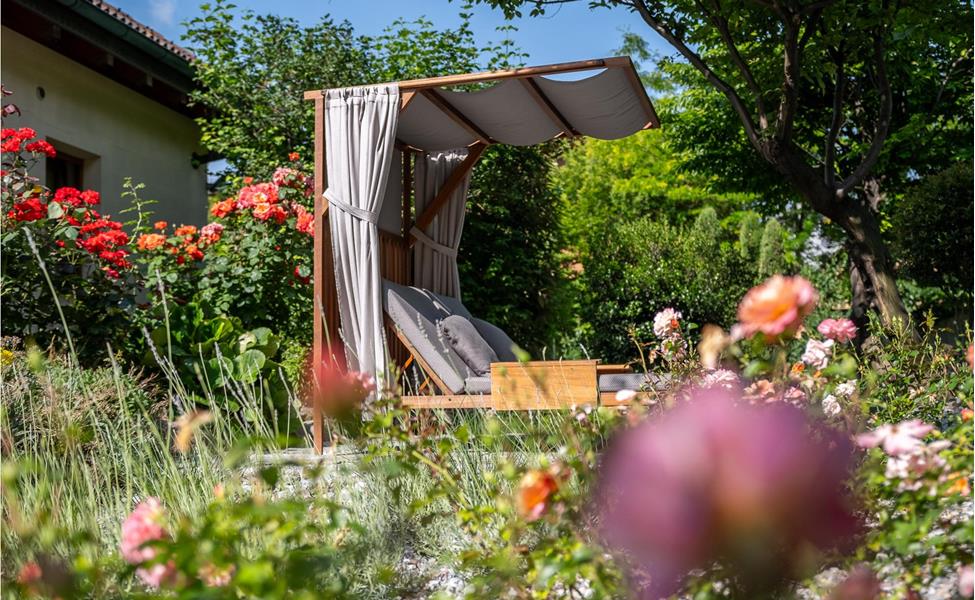 A sunlounger in the rose garden