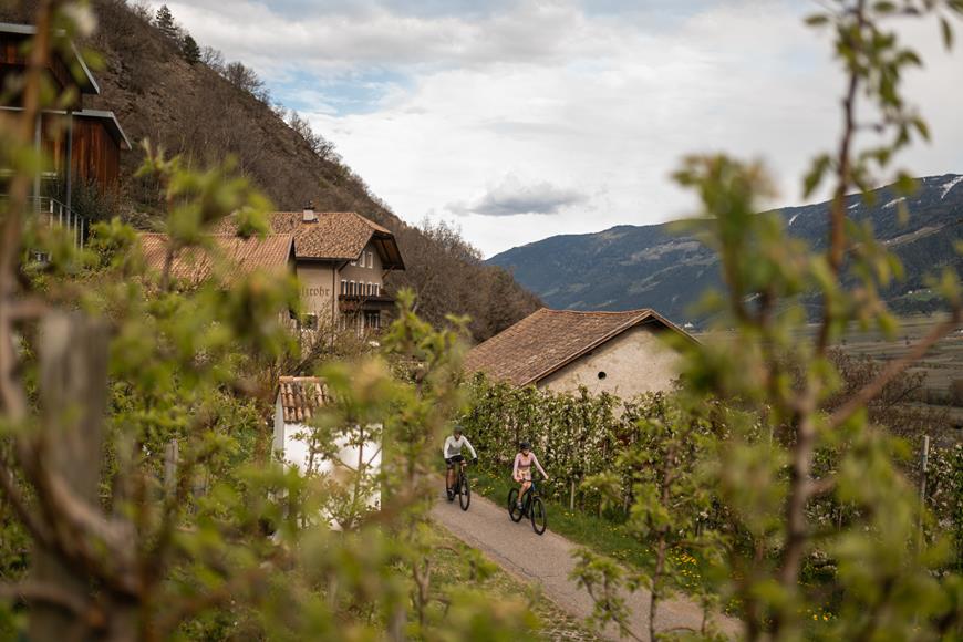 Settimane attività primavera