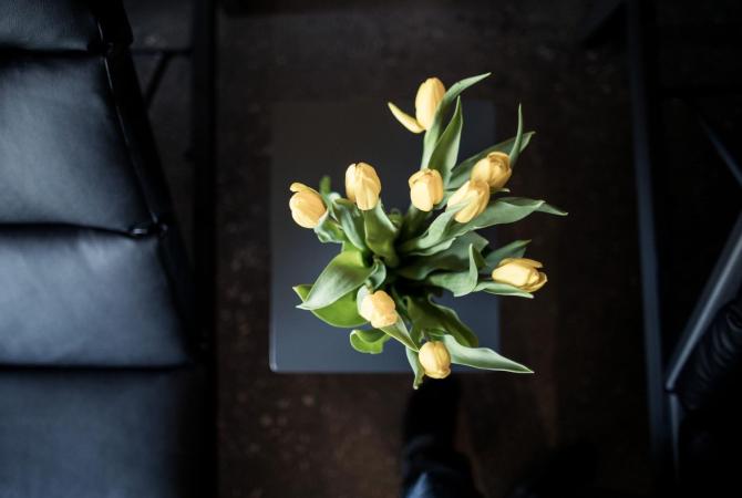 Yellow tulips