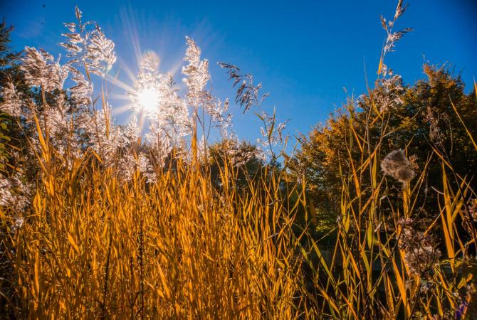 Autunno dorato